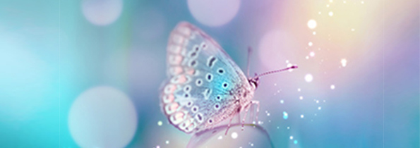 technique de la metamorphose1